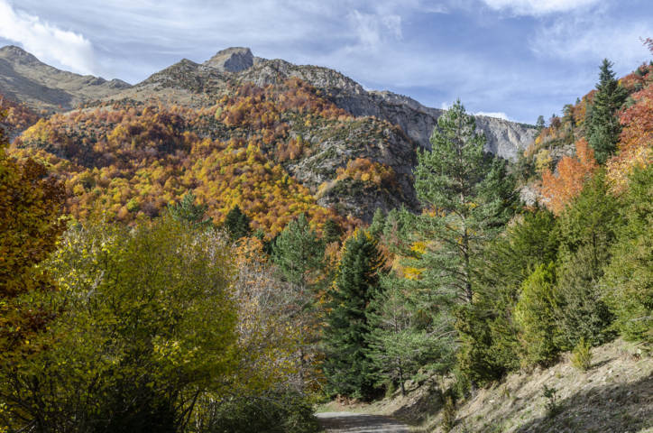 Huesca - valle de Bujaruelo 37.jpg